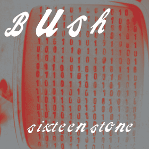 Featured image for “Sixteen Stone”